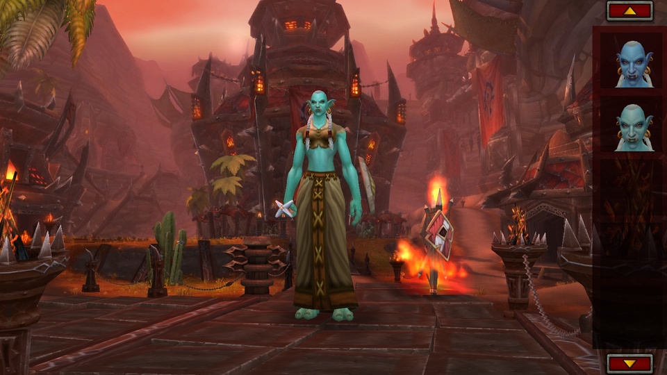 Женский взгляд на World of Warcraft